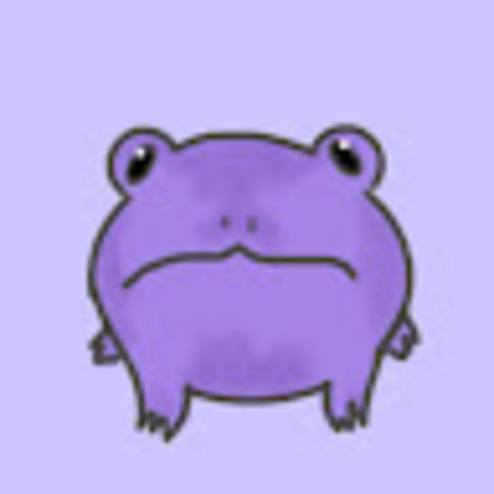 Meet your Posher, Raiqa